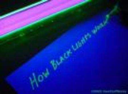 Buy Black Lights in NZ.