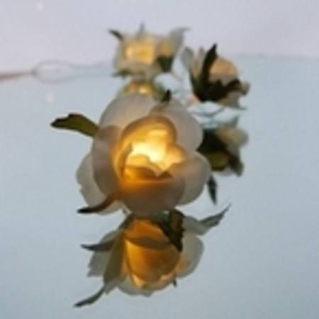Buy Rose Lights in NZ.